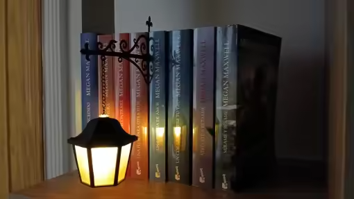 Lectura junto a una ventana